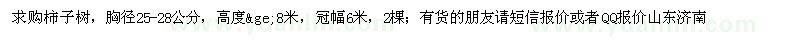 求購胸徑25-28公分柿子樹