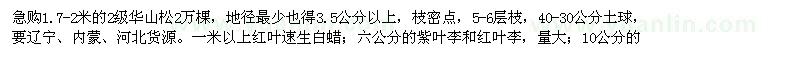 求購華山松、紫葉李、紅葉李