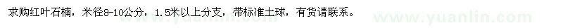 求購米徑8-10公分紅葉石楠
