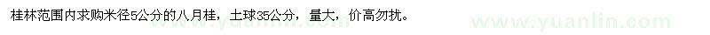 求購米徑5公分八月桂