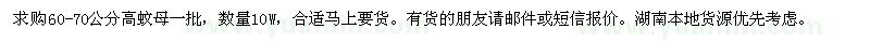 求購高60-70公分蚊母