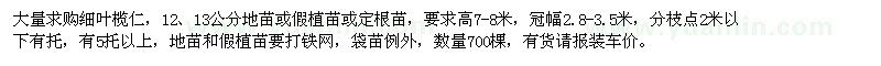 求購(gòu)12、13公分細(xì)葉欖仁