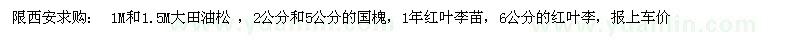 求購(gòu)大田油松、國(guó)槐、紅葉李苗