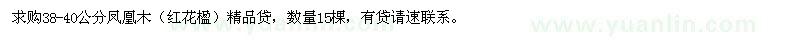 求購38-40公分?zhù)P凰木