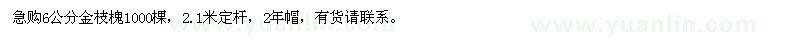 求購6公分金枝槐