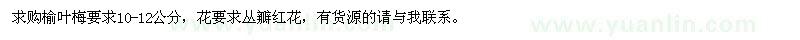 求購10-12公分榆葉梅