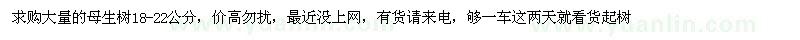 求購18-22公分母生樹(shù)
