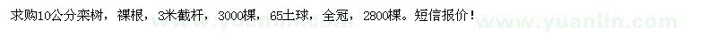 求購10公分欒樹(shù)