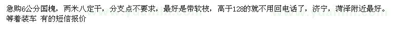 求購6公分國槐