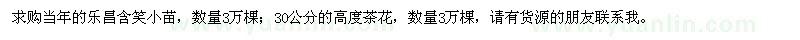 求購樂昌含笑小苗、高30公分茶花