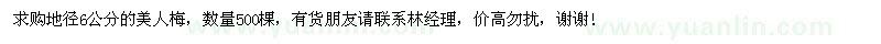 求購地徑6公分美人梅
