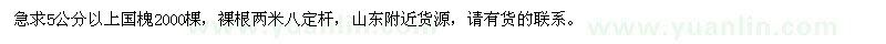 求購5公分以上國槐