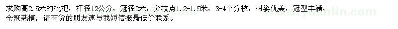 求購高2.5米枇杷