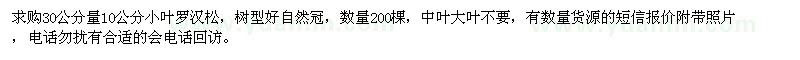 求購30公分量10公分小葉羅漢松