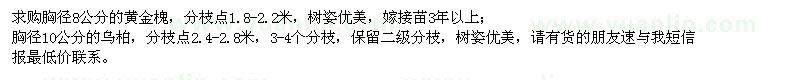 求購黃金槐、烏桕
