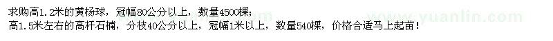求購黃楊球、高桿石楠