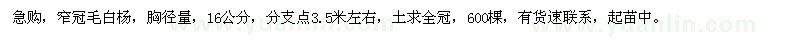求購(gòu)胸徑16公分窄冠毛白楊
