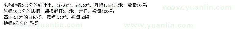 求購紅葉李、法桐、白皮松