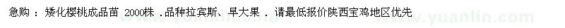 求購矮化櫻桃成品苗果樹