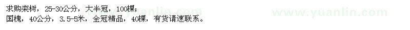 求購(gòu)欒樹、國(guó)槐