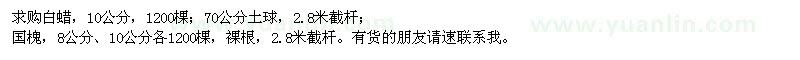 求購(gòu)白蠟、國(guó)槐