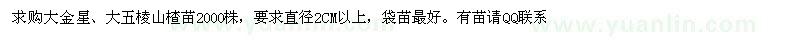 求購大金星、大五棱山楂苗
