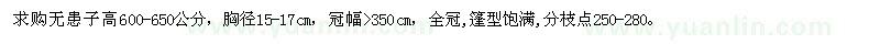 求購高600-650公分無患子