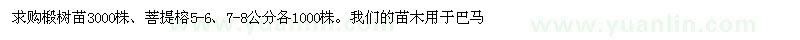 求購椴樹苗、菩提榕