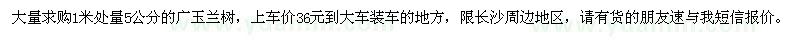 求購1米處量5公分廣玉蘭