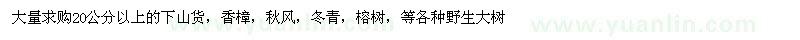 求購香樟、秋風(fēng)、冬青