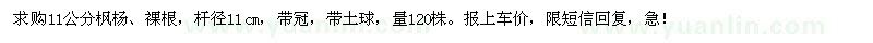 求購11公分楓楊