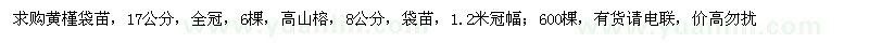求購(gòu)黃槿袋苗