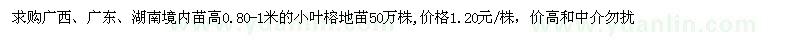 求購(gòu)小葉榕地苗