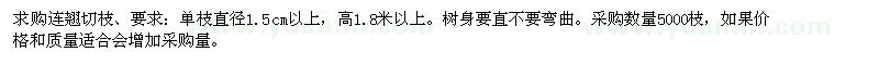 求購連翹切枝