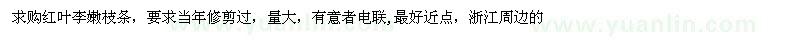 求購紅葉李嫩枝條