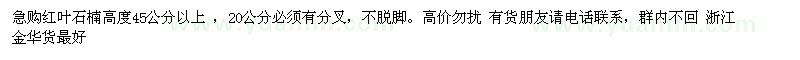 求購(gòu)高45公分以上紅葉石楠