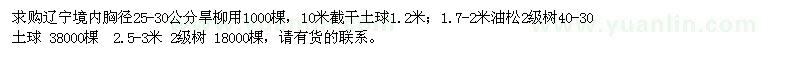 求購旱柳、油松