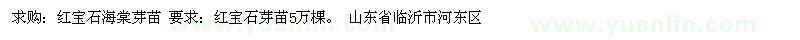 求購紅寶石海棠芽苗