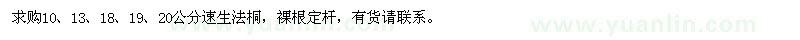求購(gòu)10、13、18、19、20公分速生法桐