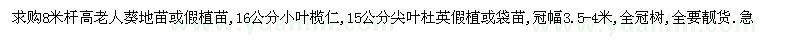 求購(gòu)老人葵、小葉欖仁、尖葉杜英