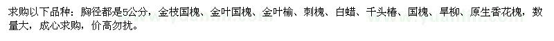求購(gòu)胸徑5公分金枝國(guó)槐、金葉國(guó)槐、金葉榆