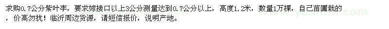 求購0.7公分紫葉李