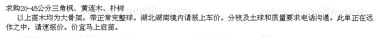 求購(gòu)20-45公分三角楓、黃連木、樸樹(shù)