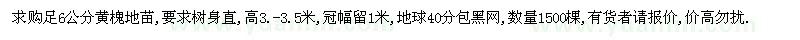求購6公分黃槐地苗
