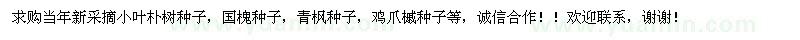 求購小葉樸樹(shù)種子、國槐種子、青楓種子