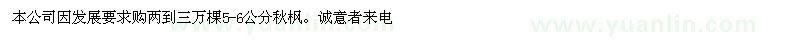 求購5-6公分秋楓
