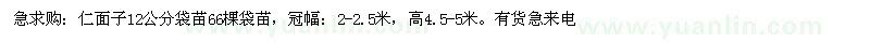 求購12公分仁面子
