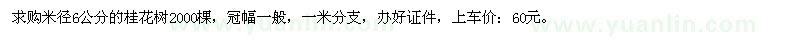 求購米徑6公分桂花樹