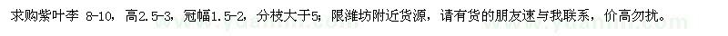 求購(gòu)紫葉李