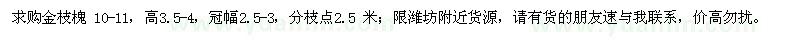 求購金枝槐
